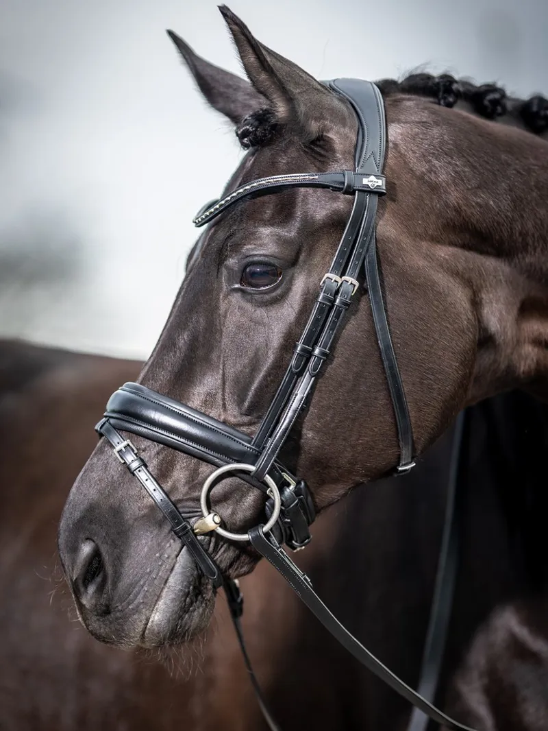 LeMieux Classic Dressage Bridle - Black